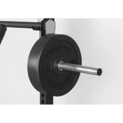 Barre à squat de musculation olympique idéale pour utiliser avec racks et rigs - Duchess Squat Bar