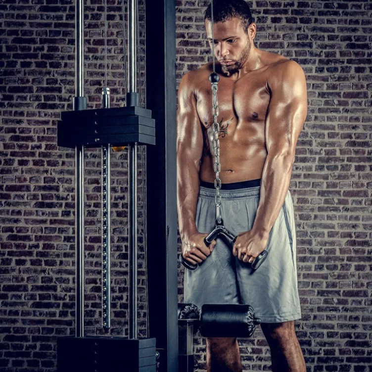 Barre à triceps 34 cm en forme de V avec revêtement caoutchouc