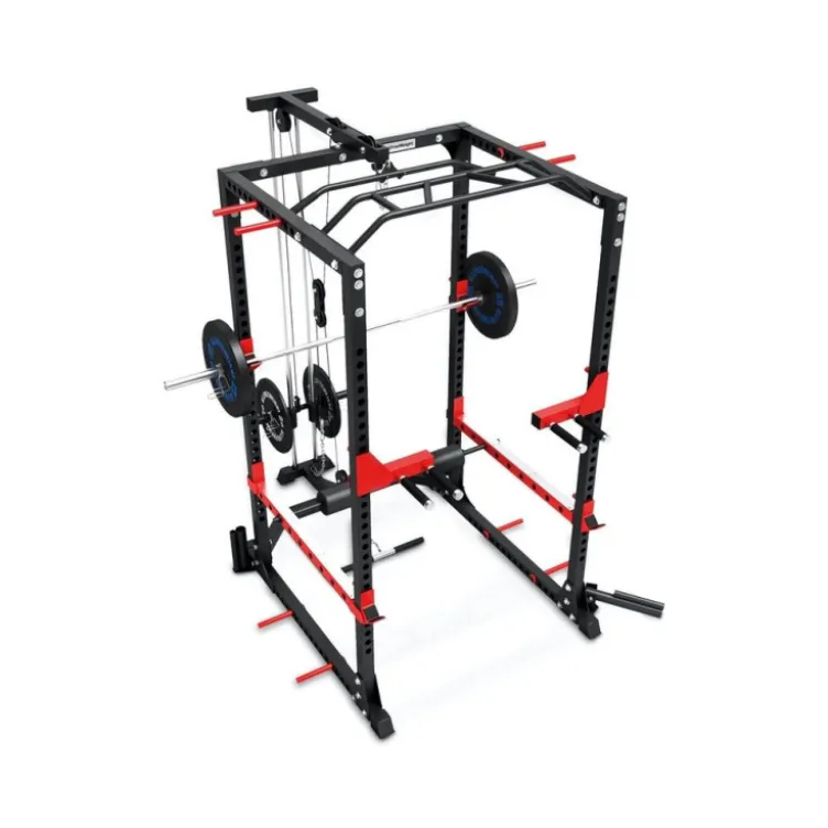 Cage à squat multi-équipée avec poulie haute et basse capacité de charge 300 kg