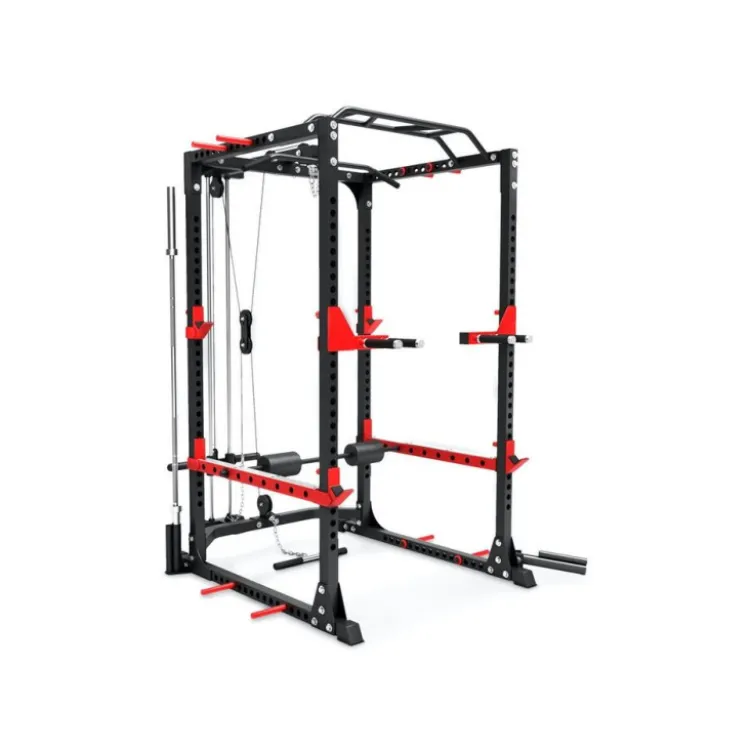 Cage à squat multi-équipée avec poulie haute et basse capacité de charge 300 kg