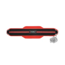 Ceinture de lest pour entraînement de musculation avec chaîne en acier : Charge max 150 kg