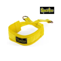 Ceinture lestée de musculation de qualité professionnelle pour dips et tractions