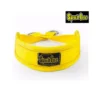 Ceinture professionnelle de Belt Squat en nylon haute résistante