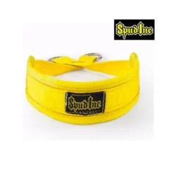 Ceinture professionnelle de Belt Squat en nylon haute résistante