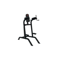Chaise Romaine en acier robuste capacité de charge 200 kg pour Home-Gym