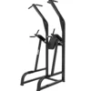 Chaise Romaine multifonctions pour Professionnels - Power Tower Black Series Titanium Strength