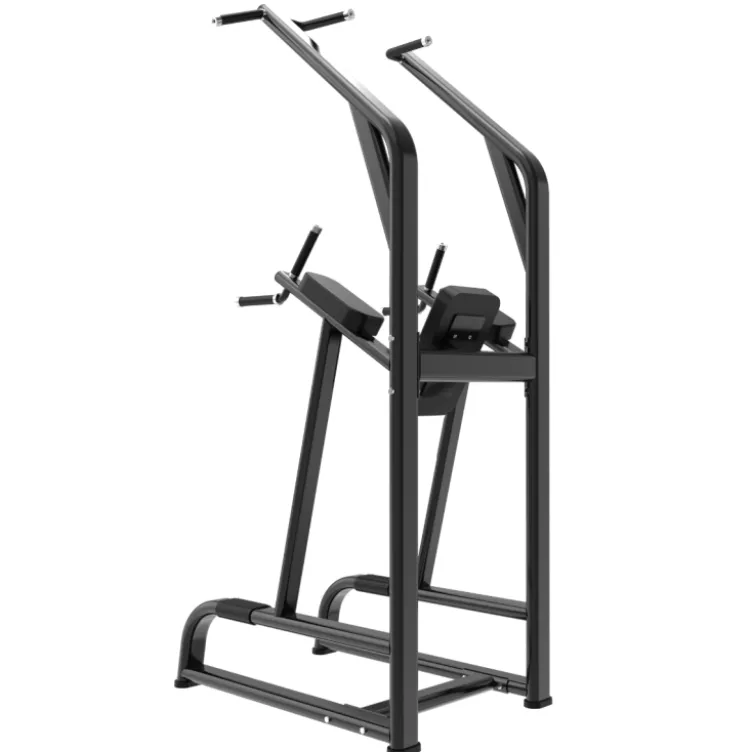 Chaise Romaine multifonctions pour Professionnels - Power Tower Black Series Titanium Strength