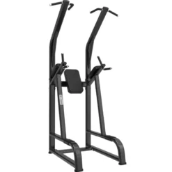 Chaise Romaine multifonctions pour Professionnels - Power Tower Black Series Titanium Strength