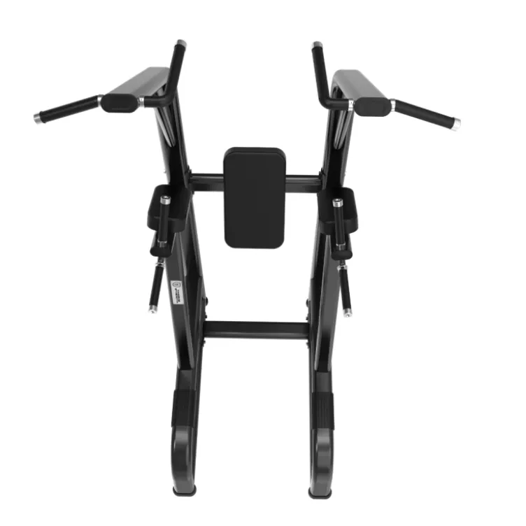 Chaise Romaine multifonctions pour Professionnels - Power Tower Black Series Titanium Strength