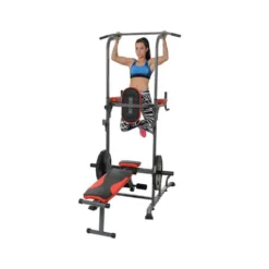 Chaise romaine multifonction pliable traction dips et dévéloppé couché home gym