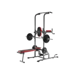 Chaise romaine multifonction pliable traction dips et dévéloppé couché home gym