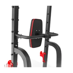 Chaise romaine multi postes pour tractions et dips à capacité de charge 300 kilos