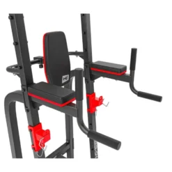 Chaise romaine multi postes pour tractions et dips à capacité de charge 300 kilos
