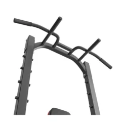 Chaise romaine multi postes pour tractions et dips à capacité de charge 300 kilos