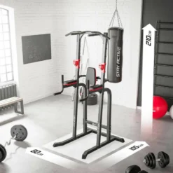 Chaise romaine multi postes pour tractions et dips à capacité de charge 300 kilos