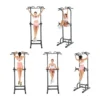Chaise romaine multiprises hauteur réglable capacité 150 kg