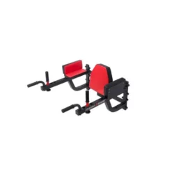 Chaise romaine murale multiprise idéale pour hometraining capacité de charge 250 kg