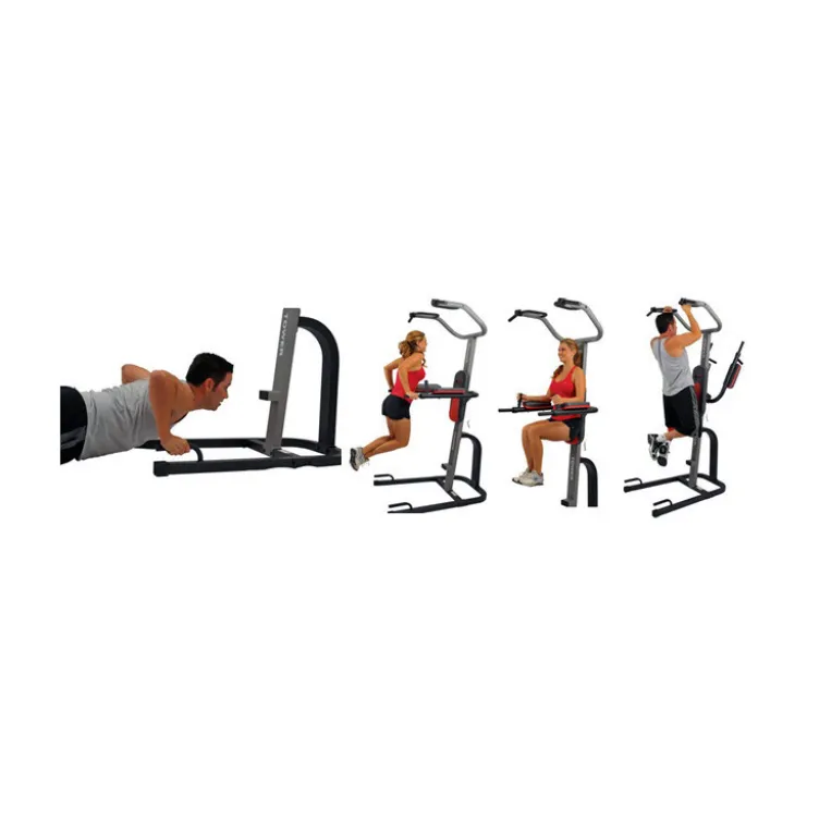Chaise romaine polyvalente pliable pour entraînement à domicile 130 kg de résistance