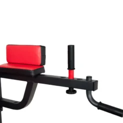 Chaise romaine semi-pro charge 300 kg