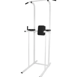 Chaise romaine station à traction, dips et abdominaux pour Home-gym