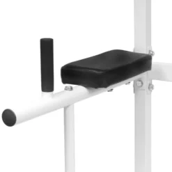 Chaise romaine station à traction, dips et abdominaux pour Home-gym