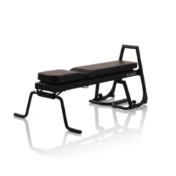 Combo Banc de musculation réglable et Chaise romaine -10° à 90° avec capacité de charge de 250 kg pour home gym