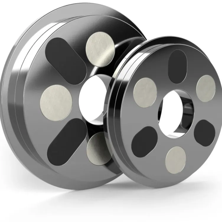 Disques magnétiques de précision 0,5 et 1 kg diamètre 31 mm - Disques magnétiques additionnels de musculation