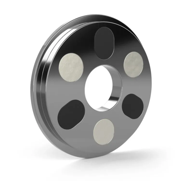 Disques magnétiques de précision 0,5 et 1 kg diamètre 31 mm - Disques magnétiques additionnels de musculation