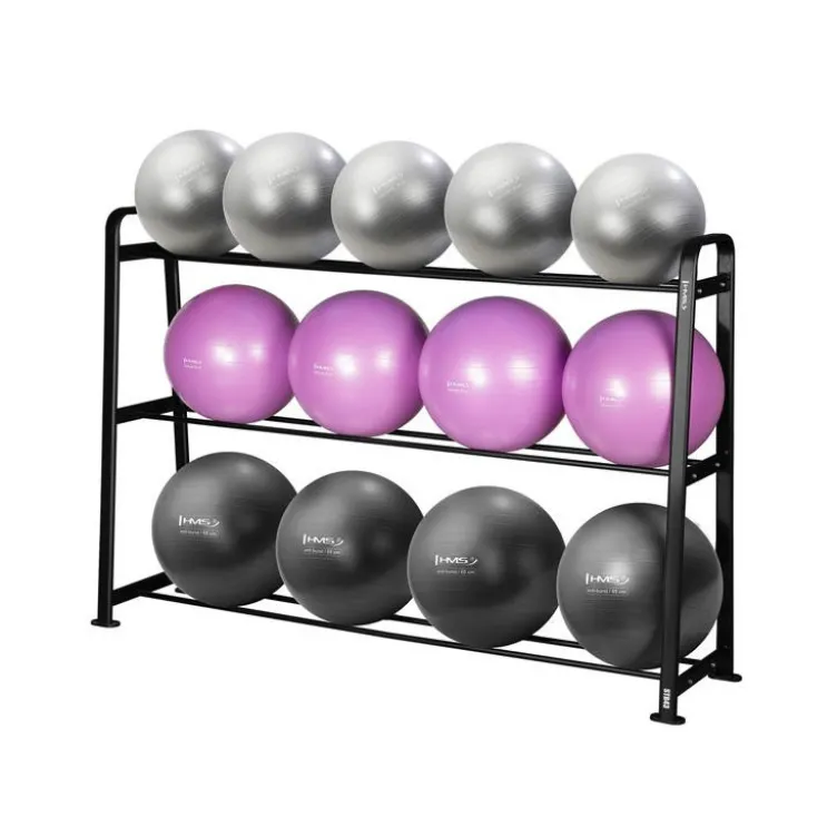 Ensemble complet de fitness pour salle de sport professionnelle - Rack de stockage avec ballons de gymnastique x13