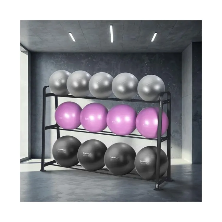Ensemble complet de fitness pour salle de sport professionnelle - Rack de stockage avec ballons de gymnastique x13