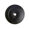Ensemble d'haltères avec disques de poids en ciment