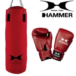 Ensemble d'équipement de boxe professionnel adulte - Gants et sac de frappe