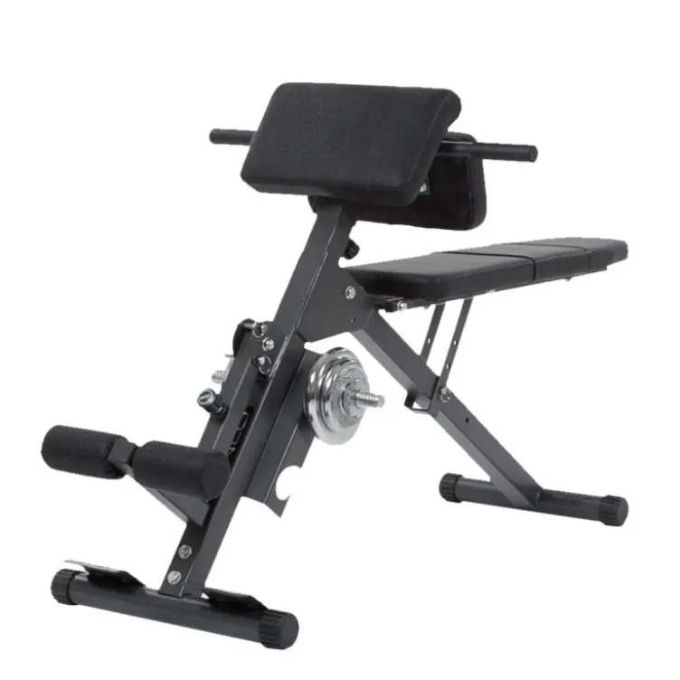 Entraîneur Abdominal et Dorsal : Planches d'exercices multifonctions