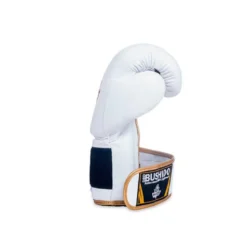 Gants de boxe en cuir naturel pour sports de combat
