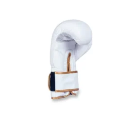 Gants de boxe en cuir naturel pour sports de combat