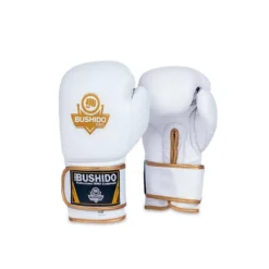 Gants de boxe en cuir naturel pour sports de combat