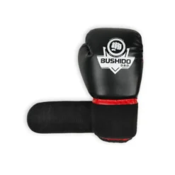 Gants de boxe et sports de combat