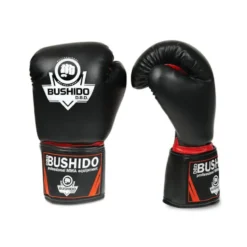 Gants de boxe et sports de combat