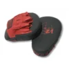 Gants pattes d'ours pro pour training boxe avec sparring