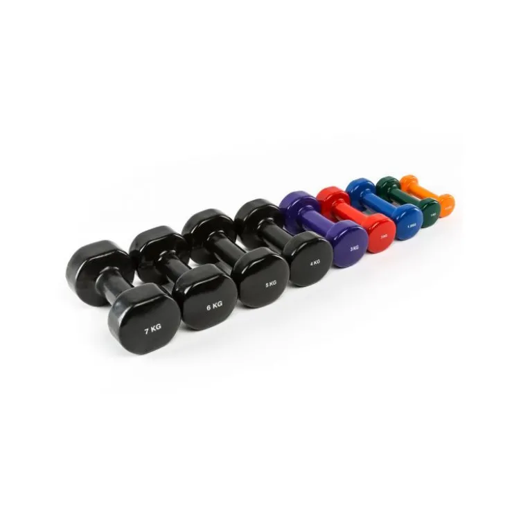 Haltère en vinyle pour séance de fitness 0,5 à 5 kg