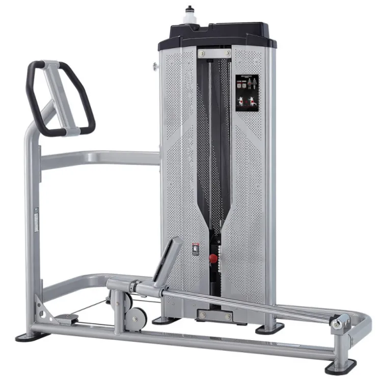 Hip Extension - Station de musculation professionnelle d'extensions à une jambe