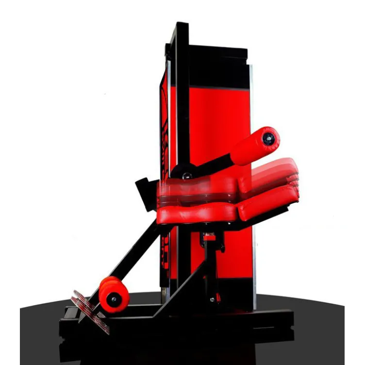 Machine de musculation à abdominaux avec support en mousse de haute qualité et cale pieds - Club de musculation