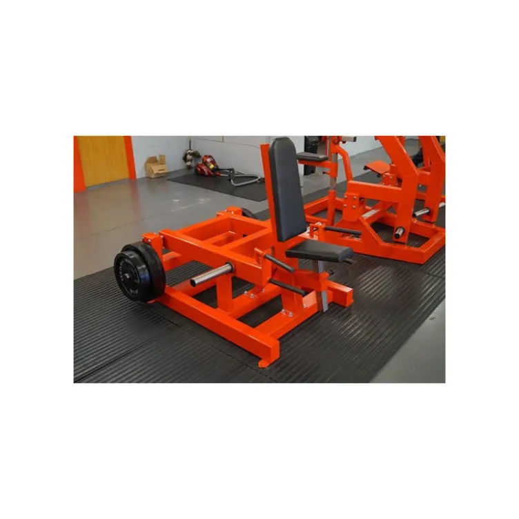 Machine de musculation Shrug pour entraînement complet des trapèzes - Appareil professionnel pour disques olympiques