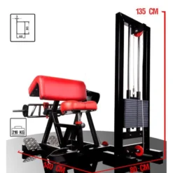 Machine de musculation à triceps avec pupitre à biceps et barre multiprises idéal pour salle de musculation pour les pro