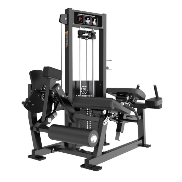 Machine Leg Extension Dual Leg Curl Allongé Élite RX – Station jambes à charge guidée professionnelle ELRX-S61 Titanium Strength