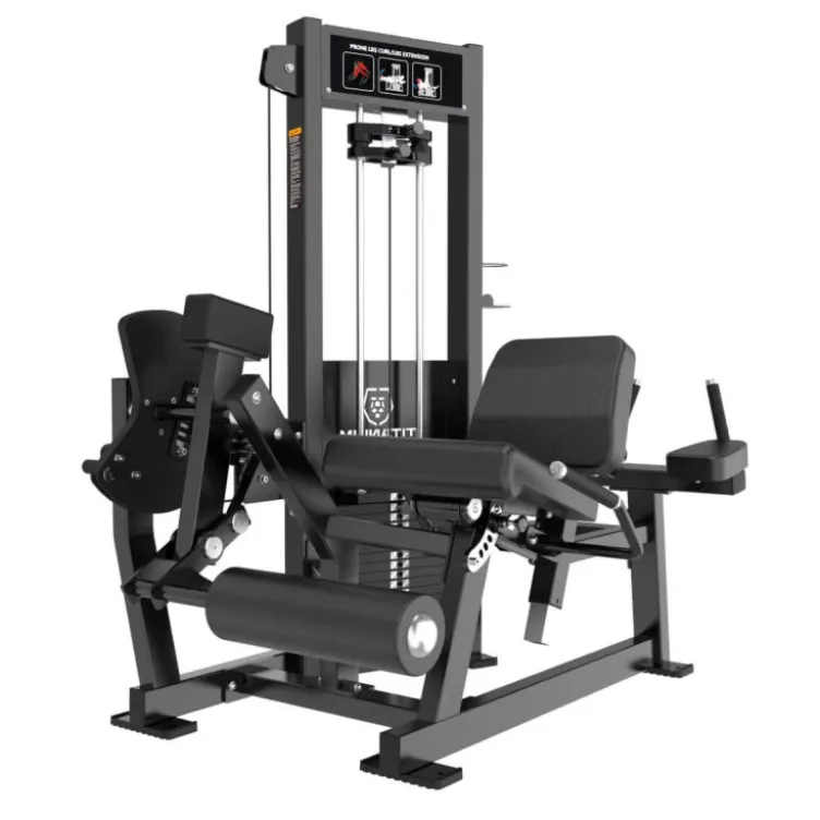 Machine Leg Extension Dual Leg Curl Allongé Élite RX – Station jambes à charge guidée professionnelle ELRX-S61 Titanium Strength
