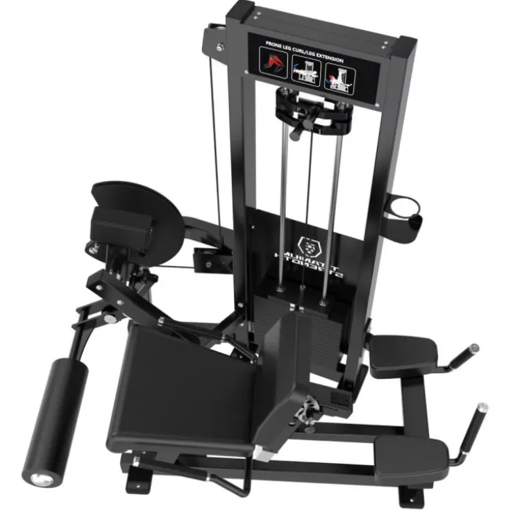 Machine Leg Extension Dual Leg Curl Allongé Élite RX – Station jambes à charge guidée professionnelle ELRX-S61 Titanium Strength