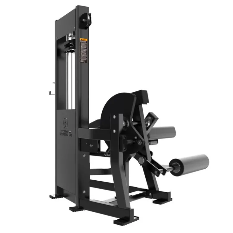 Machine Leg Extension Dual Leg Curl Allongé Élite RX – Station jambes à charge guidée professionnelle ELRX-S61 Titanium Strength