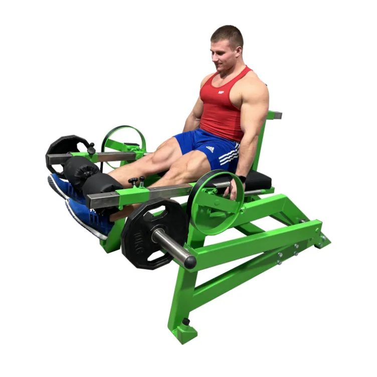 Machine Leg extension professionnelle à charge libre pour entraînement des quadriceps - Disques olympiques
