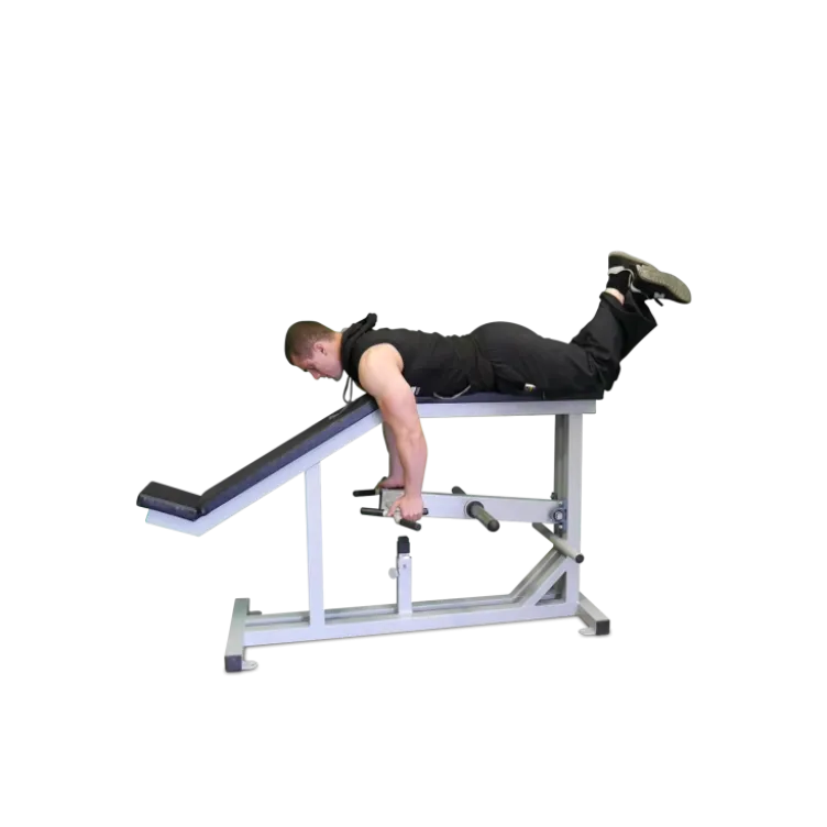 Machine Lying T-Bar Row professionnel à charge libre pour entraînement du dos - Station Rowing avec poignées multiples
